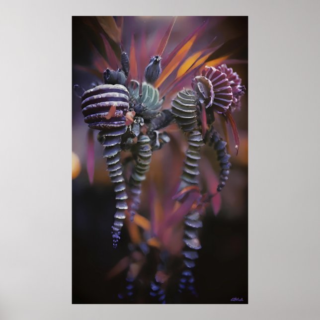 Póster Auténtico (Frente)