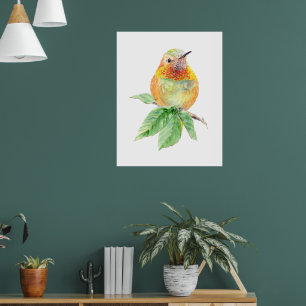 Póster Auténtico Hummingbird