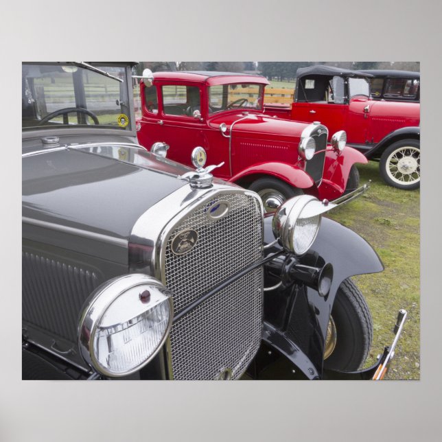 Póster automóviles Ford antiguos (Frente)