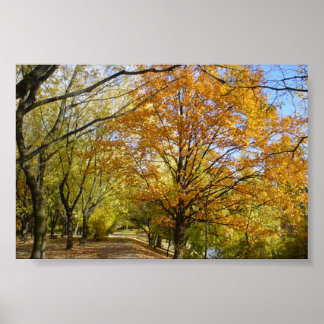 Póster autum