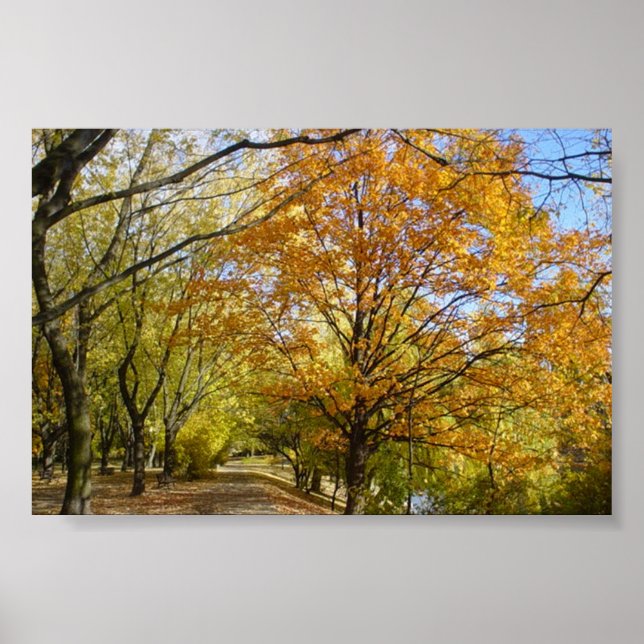 Póster autum (Frente)