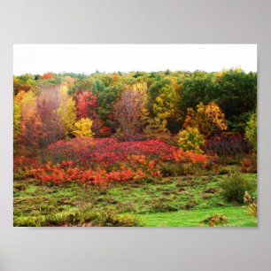 PÓSTER AUTUMN