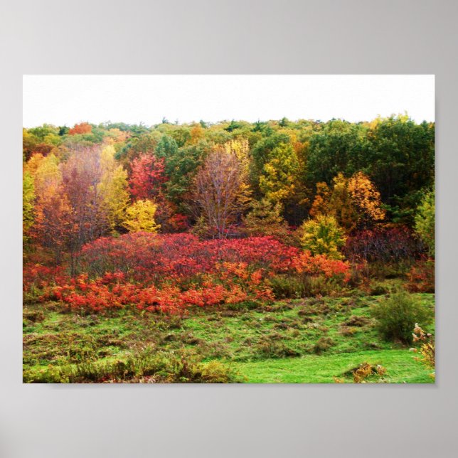 PÓSTER AUTUMN (Frente)