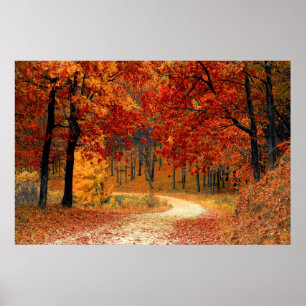 Póster Autumn