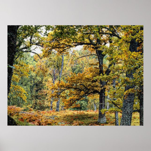 Póster Autumn 34 (Frente)