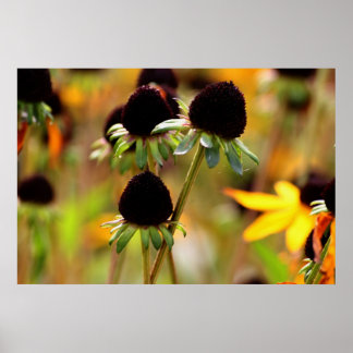 Póster Autumn Approachs