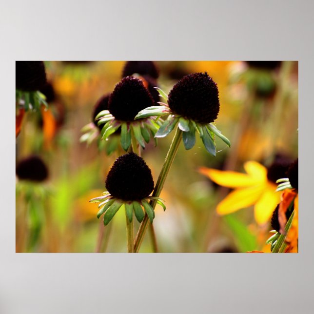 Póster Autumn Approachs (Frente)