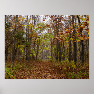 Póster Autumn Bliss