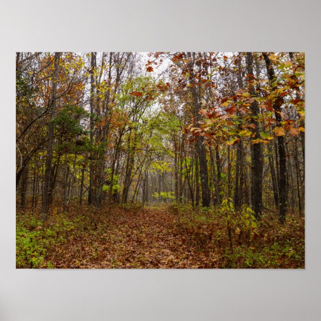 Póster Autumn Bliss (Frente)