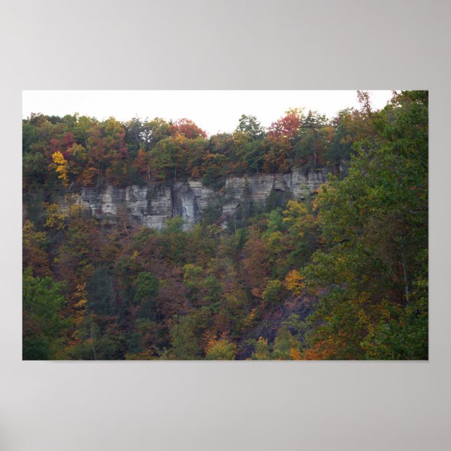 Póster Autumn Cliffside Photo Poster (Frente)