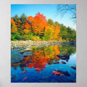 Póster Autumn Colors reflecting in a stream in Vermont