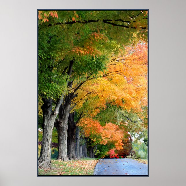 Póster Autumn Drive (Frente)