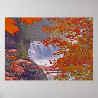 Póster Autumn Falls