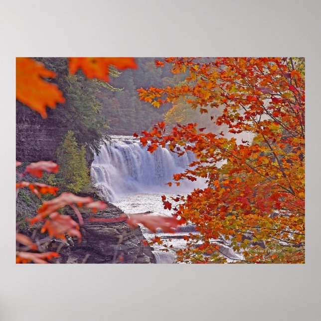 Póster Autumn Falls (Frente)