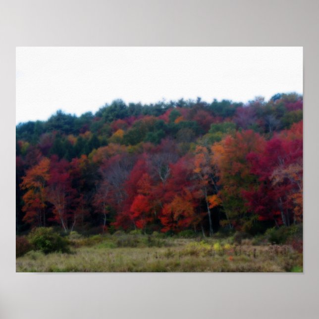 Póster Autumn Foliage In Field Nature Poster (Frente)