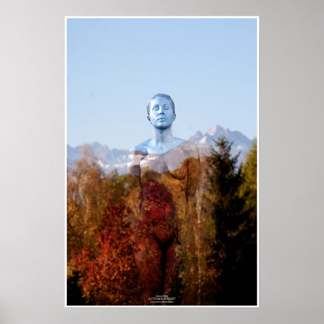 Póster Autumn Forest by Johannes Stötter (Frente)