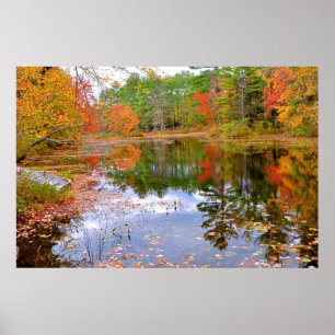 Póster Autumn Forest Reflected in Pond