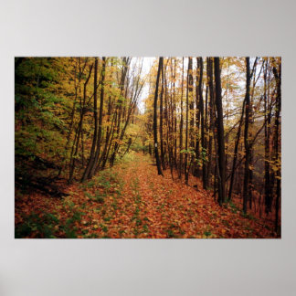 Póster Autumn Hike