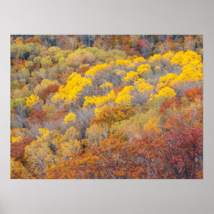 Póster Autumn in Michigan