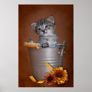 Póster Autumn Kitten Poster