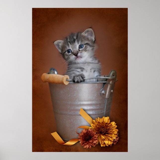Póster Autumn Kitten Poster (Frente)