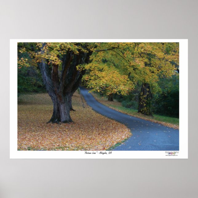 Póster Autumn Lane (Frente)