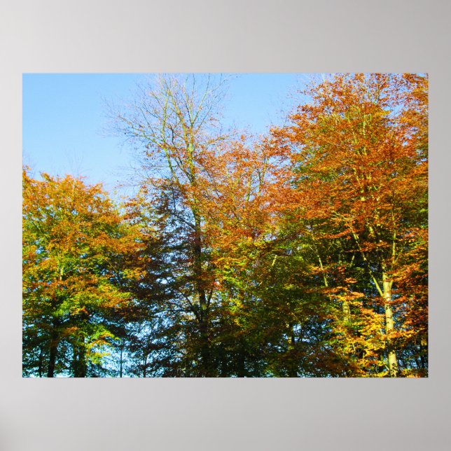 Póster Autumn Leaves & Blue Skies - Personalised (Frente)