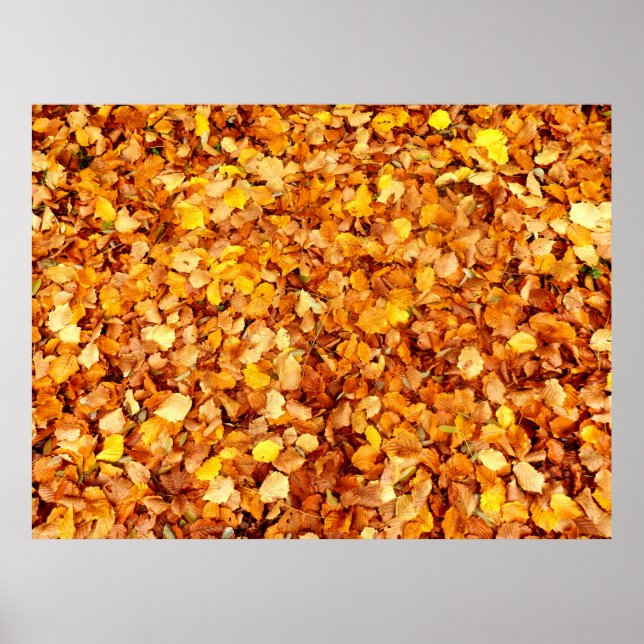 Póster Autumn Leaves Poster (Frente)