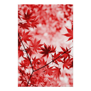 Póster Autumn Maple Trees Sale Design-2997