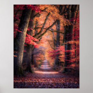 Póster Autumn Path in Vermont Forest Poster