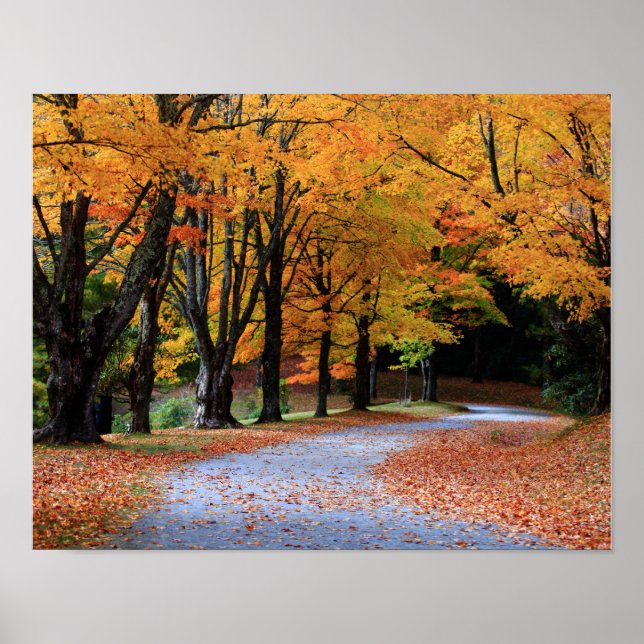Póster Autumn Pathway (Frente)