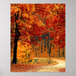 Póster Autumn Road
