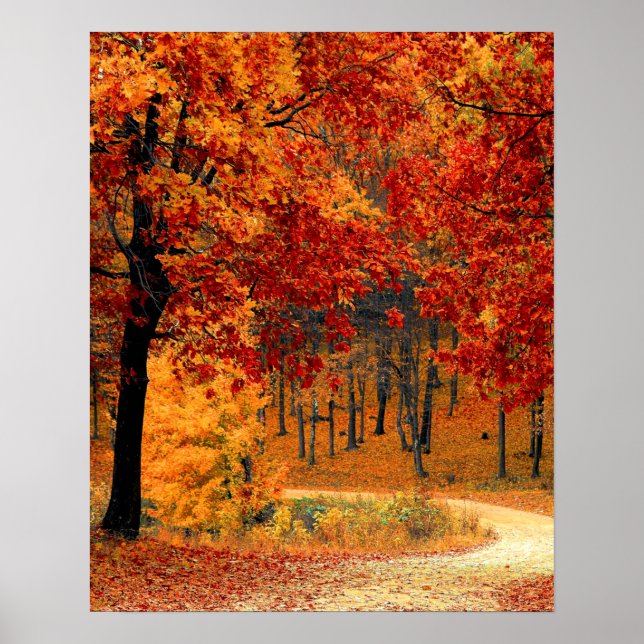 Póster Autumn Road (Frente)
