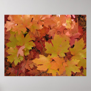 Póster Autumn Splendor (1) Poster
