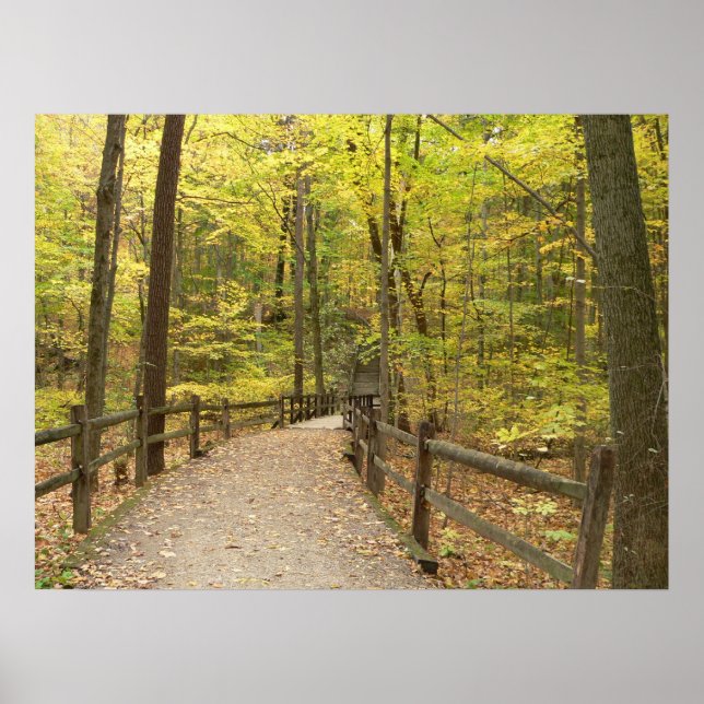 Póster Autumn Stillness Poster (Frente)