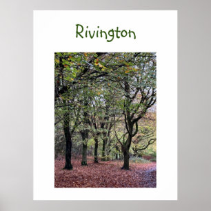 Póster Autumn Trees Rivington  