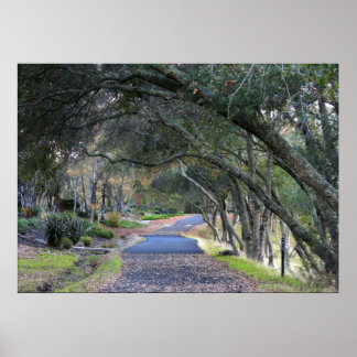 Póster "Autumn Walk"