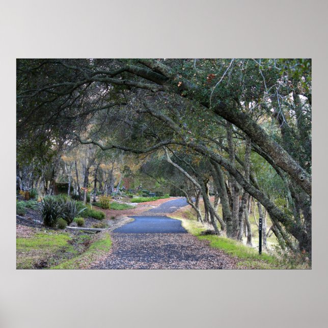 Póster "Autumn Walk" (Frente)