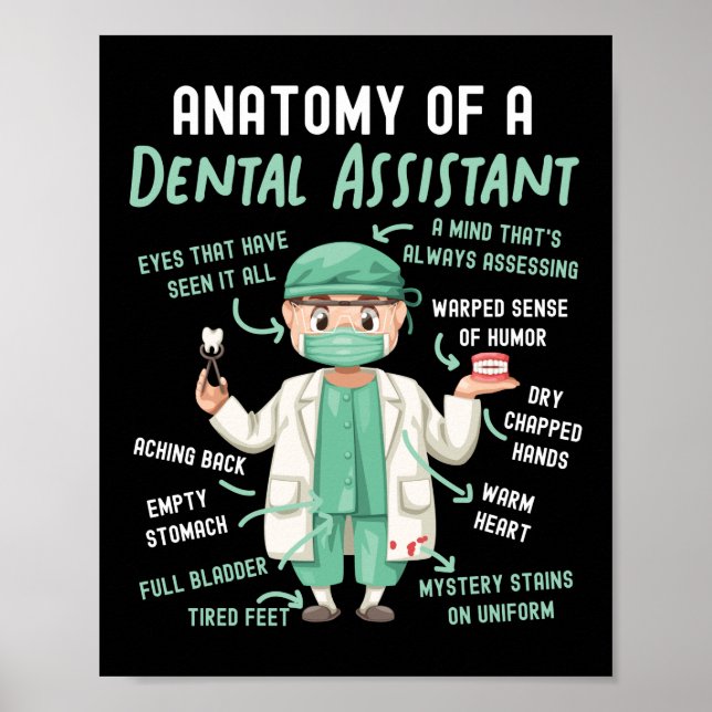 Póster Auxiliar Dental Anatomía Dental De Un Dental (Frente)