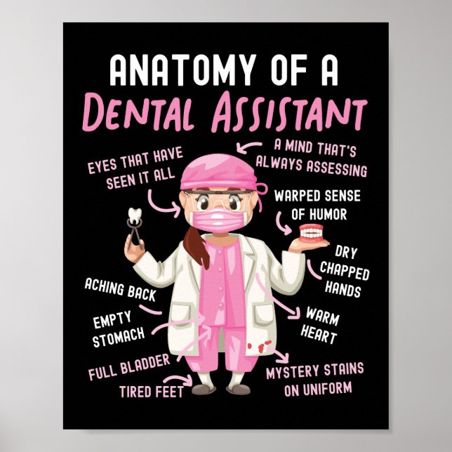 Póster Auxiliar Dental Anatomía Dental De Un Dental (Frente)
