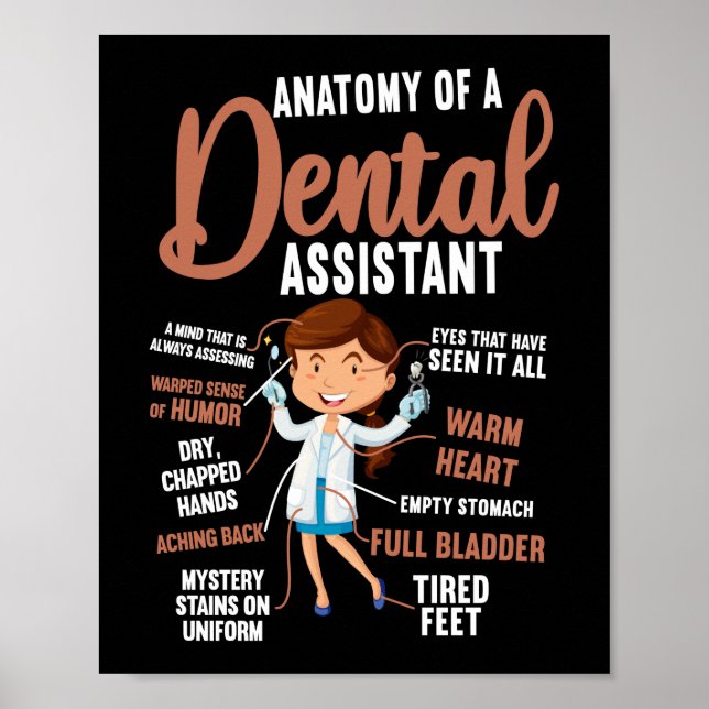 Póster Auxiliar Dental Anatomía Dental De Un Dental (Frente)