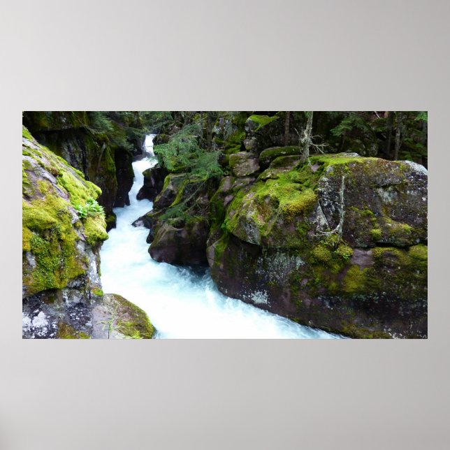 Póster Avalanche Gorge I en Glacier National Park (Frente)