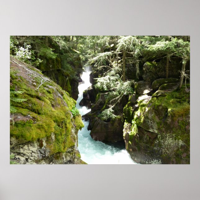 Póster Avalanche Gorge II en el Parque Nacional Glacier (Frente)