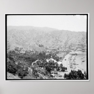 Póster Avalon, Isla Santa Catalina c1903