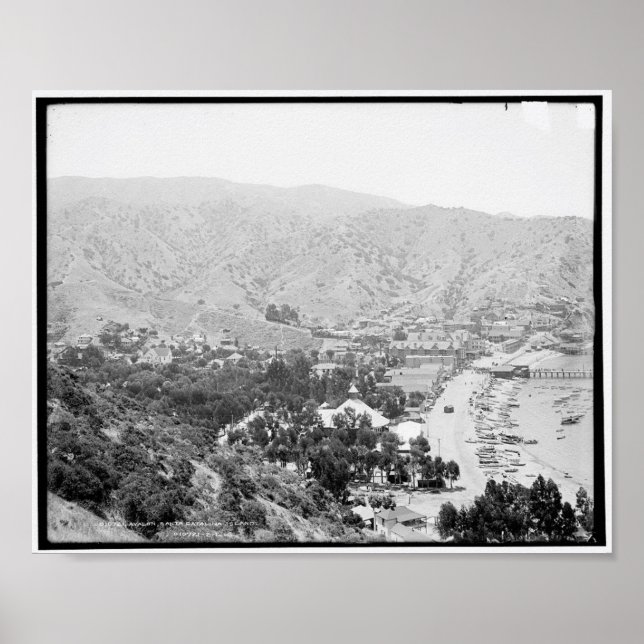 Póster Avalon, Isla Santa Catalina c1903 (Frente)