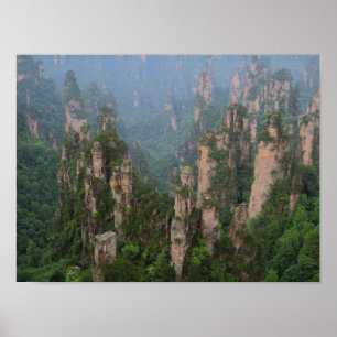 Póster Avatar del Poster del Parque Forestal Nacional Zha