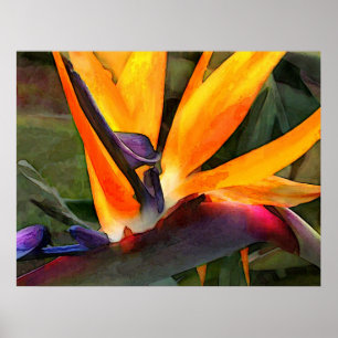 Póster Ave abstracta del paraíso