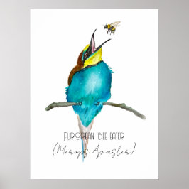 Póster Ave acuarela (apicultor europeo)