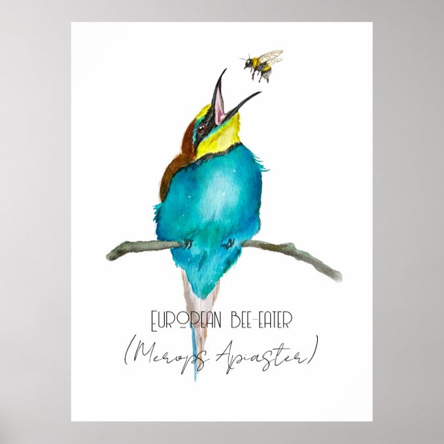Póster Ave acuarela (apicultor europeo) (Frente)