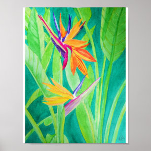 Póster Ave acuarela de las flores del paraíso